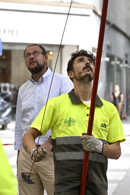 Más de 3.000 árboles del municipio son objeto de refaldeo para garantizar la seguridad de viandantes y circulación de vehículos - 4, Foto 4