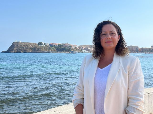 El PP rechaza la subida del 21 % del IVA a los pisos turísticos que afectaría a 7.000 pequeños arrendadores y autónomos en la Región de Murcia - 1, Foto 1