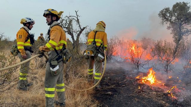 20 bomberos forestales de la Región salen hacia Extremadura para continuar la lucha contra los incendios - 1, Foto 1