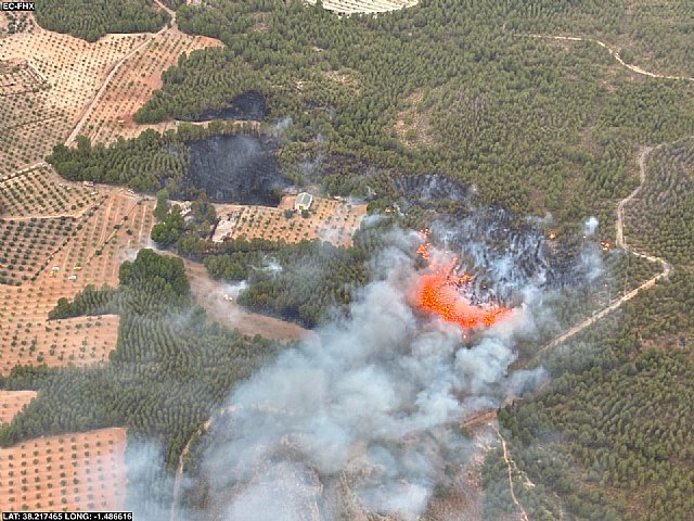 Efectivos del Plan Infomur actúan en varios incendios forestales declarados esta tarde en la Región - 1, Foto 1