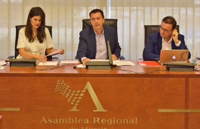 La Asamblea Regional aprueba la iniciativa de Ciudadanos para desarrollar la autonomía escolar en los centros públicos de la Región - 1, Foto 1
