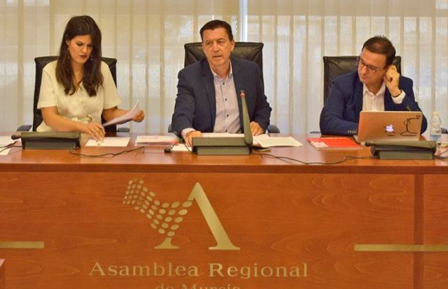 La Asamblea Regional aprueba la iniciativa de Ciudadanos para desarrollar la autonoma escolar en los centros pblicos de la Regin, Foto 1