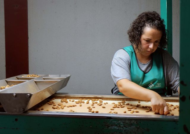 El sector de los frutos secos murciano reclama a los partidos políticos una apuesta decidida que evite su desaparición - 1, Foto 1