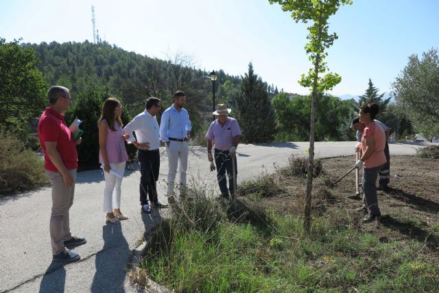 El Ayuntamiento de Caravaca pone en marcha trabajos de desbroce y regeneración en zonas verdes, caminos rurales, barrancos y márgenes de carreteras - 3, Foto 3