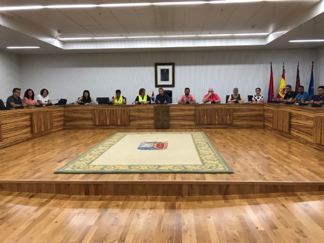 La Junta de Gobierno Local solicita la declaración de Zona afectada gravemente por emergencia de Protección Civil para el municipio de Torre Pacheco - 3, Foto 3