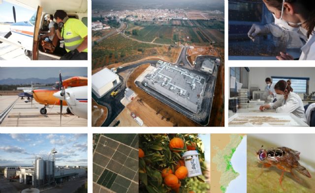 El CGC alerta sobre las cada vez más asiduas incursiones en la UE de plagas foráneas “prioritarias”, las más graves - 2, Foto 2