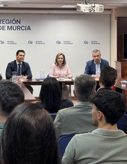 El PP alerta del aumento de la delincuencia en la Región y en toda España por la ineficacia y el desinterés del Gobierno de Sánchez por la seguridad de los ciudadanos - 2, Foto 2