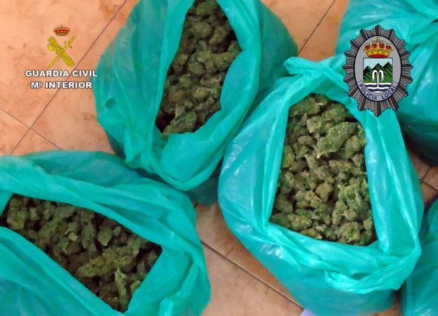 Detenidas in fraganti dos personas con más de seis kilos de cogollos de marihuana y 20.000 euros en Fortuna - 4, Foto 4