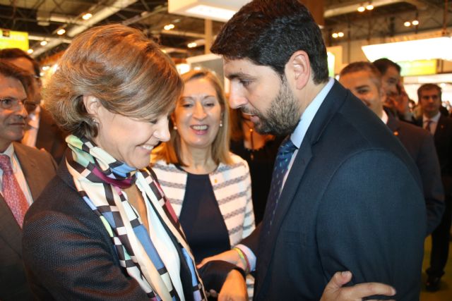 López Miras: La Región de Murcia es la primera potencia mundial en industria agroalimentaria - 3, Foto 3