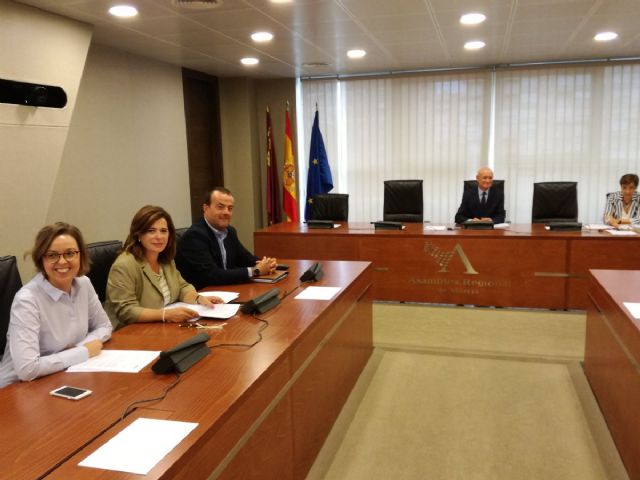 Domingo Coronado: Estamos construyendo en la Región de Murcia una Sanidad potente en la atención personalizada a los niños - 1, Foto 1