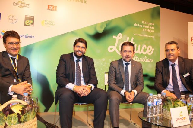 Garantizamos el servicio a nuestros clientes pese a las restricciones de agua, asegura el presidente de Proexport en Fruit Attraction - 1, Foto 1