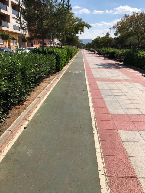 El PSOE apuesta por implantar un diseño común para los nuevos carriles bici del municipio y adaptar los actuales al mismo - 2, Foto 2