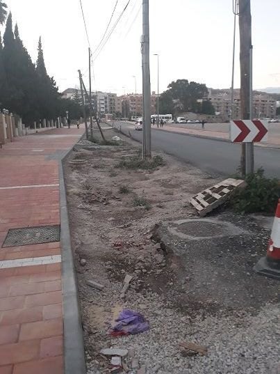 IU Lorca denuncia la paralización de las obras del camino Marín y la Alameda de Cervantes - 2, Foto 2