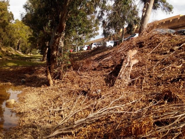 Cs denuncia que la CHS y el Ayuntamiento no actúan en las ramblas más abandonadas ante la amenaza de la gota fría - 2, Foto 2