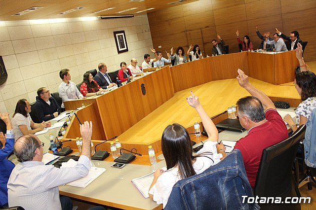 El Pleno aprueba la adhesión a las medidas del Ministerio de Hacienda para agrupar en un solo préstamo todos los créditos formalizados - 2, Foto 2