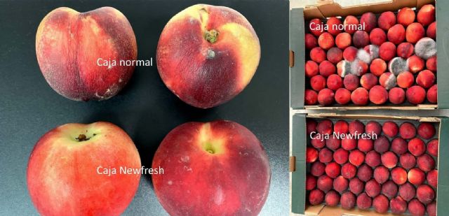 El envase activo Newfresh desarrollado por la UPCT y SAECO gana el premio a la Innovación de Bankia - 3, Foto 3