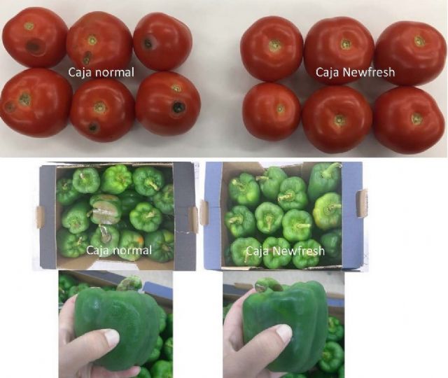 El envase activo Newfresh desarrollado por la UPCT y SAECO gana el premio a la Innovación de Bankia - 4, Foto 4