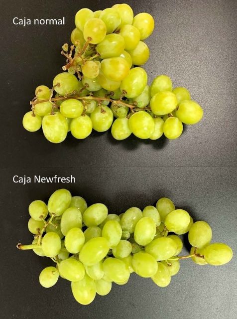 El envase activo Newfresh desarrollado por la UPCT y SAECO gana el premio a la Innovación de Bankia - 5, Foto 5