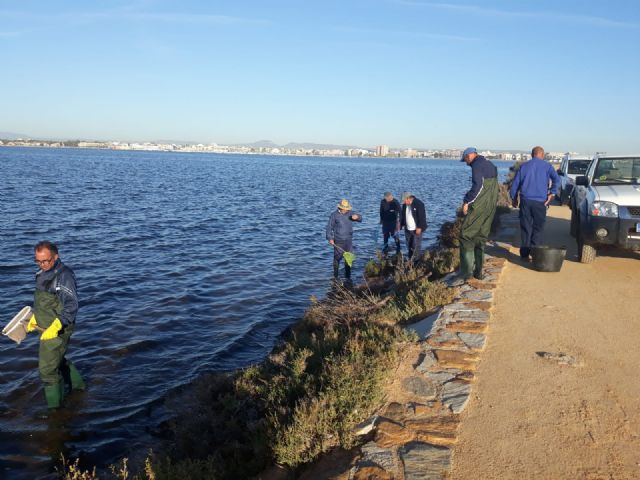 Finalizan los trabajos de limpieza y abren las playas de Villananitos, La Puntica y La Mota - 1, Foto 1