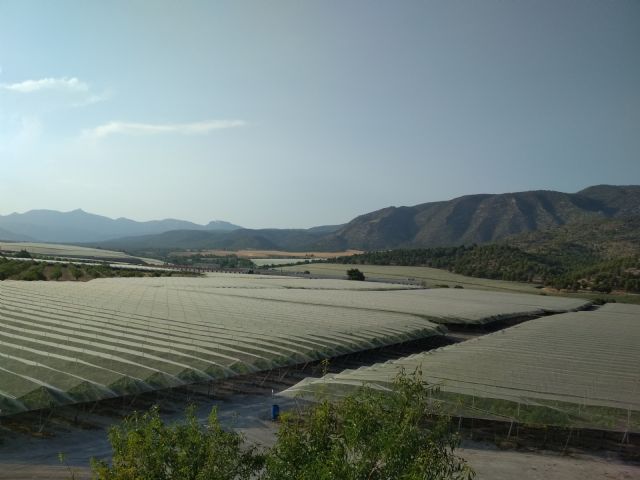 Representantes de los regantes, ARECA, y del Consejo para la Defensa del Noroeste se reúnen con el presidente de CHS y su equipo - 2, Foto 2