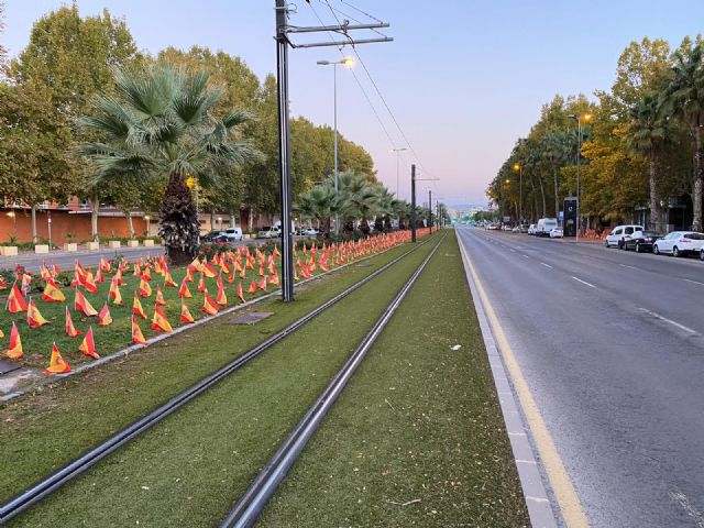 ANVAC homenajea en Murcia a los 56.000 fallecidos por Coronavirus - 4, Foto 4