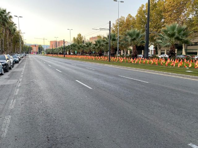 ANVAC homenajea en Murcia a los 56.000 fallecidos por Coronavirus - 5, Foto 5