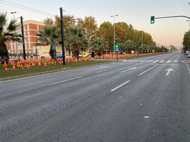 ANVAC homenajea en Murcia a los 56.000 fallecidos por Coronavirus, Foto 7