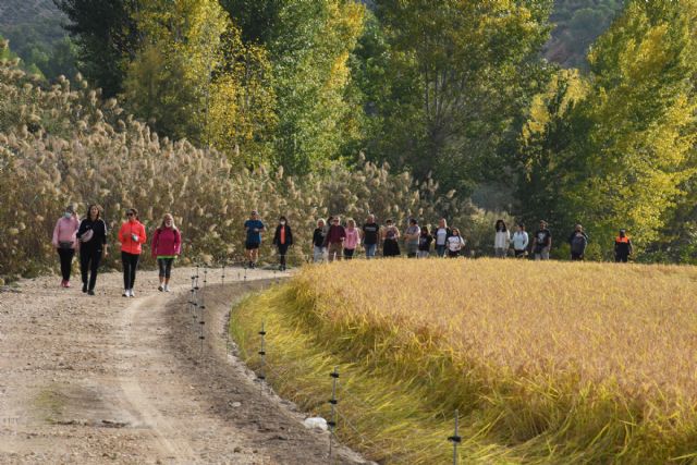Las rutas del arroz llegan a su recta final con la ruta de la siega en paraje de El Bayo - 4, Foto 4