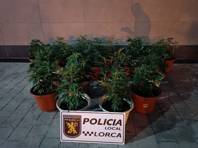 La Policía Local de Lorca detiene a 6 personas en el marco de las actuaciones preventivas y operativas para garantizar la seguridad ciudadana en el municipio - 1, Foto 1