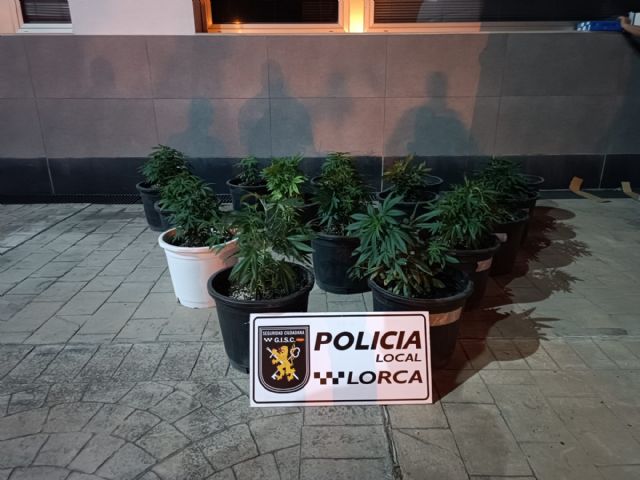 La Policía Local de Lorca detiene a 6 personas en el marco de las actuaciones preventivas y operativas para garantizar la seguridad ciudadana en el municipio - 2, Foto 2