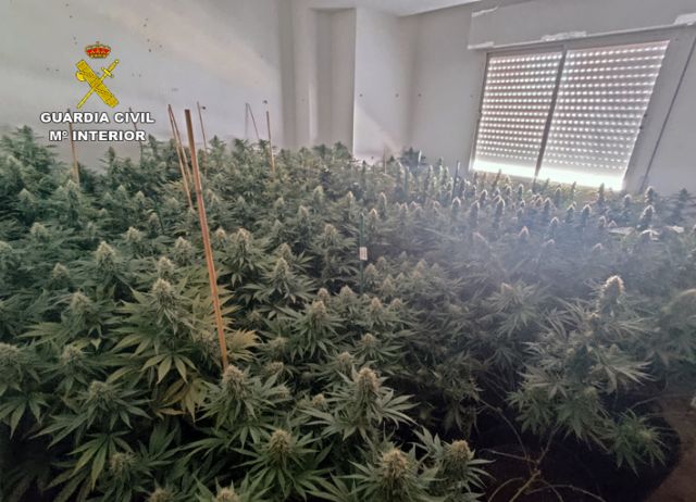 La Guardia Civil desmantela en un piso de Fortuna un invernadero con más de un centenar de plantas de marihuana - 2, Foto 2