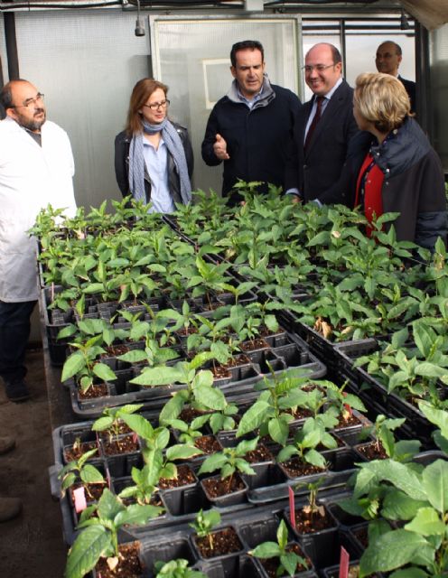 El Consejo de Gobierno pone en común las aportaciones de las distintas consejerías para el Plan de Ciencia e Innovación - 3, Foto 3