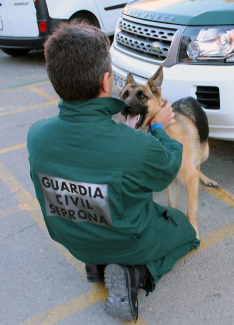 Dos guardias civiles francos de servicio rescatan a una mujer en su domicilio - 2, Foto 2