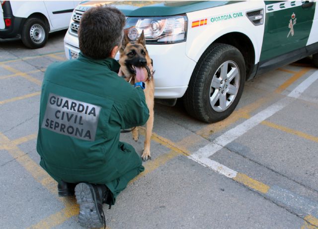 Dos guardias civiles francos de servicio rescatan a una mujer en su domicilio - 3, Foto 3