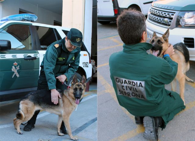 Dos guardias civiles francos de servicio rescatan a una mujer en su domicilio - 5, Foto 5