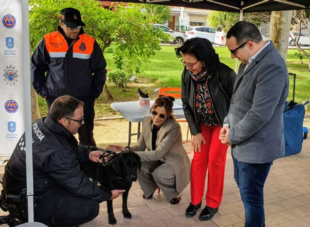 Una jornada de educación vial sobre seguridad para los torreños más pequeños - 4, Foto 4