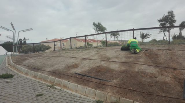 Esta semana concluye la reforestación del parque Virgen de Fátima con más de 2.500 plantas autóctonas - 1, Foto 1