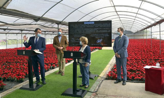 La producción de las flores de los jardines de Murcia impulsa la inserción laboral de personas con discapacidad - 1, Foto 1