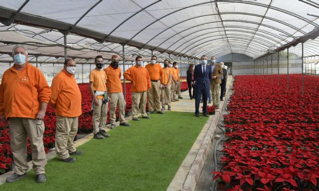 La producción de las flores de los jardines de Murcia impulsa la inserción laboral de personas con discapacidad - 2, Foto 2