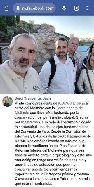 La Coordinadora del Molinete pide al Ayuntamiento que integre al presidente de ICOMOS en la comisión del cerro - 2, Foto 2