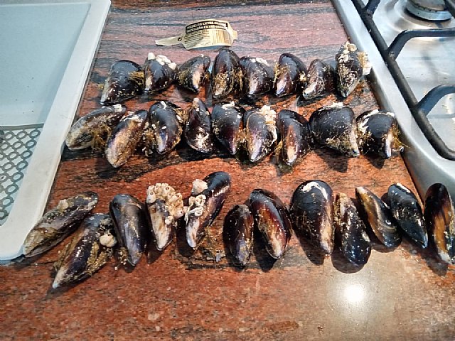 CONSUMUR denuncia a Mercadona por comercializar bolsas de mejillones “extra grandes” cuando sólo la mitad del producto presenta ese tamaño - 1, Foto 1