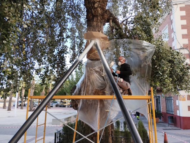 La Comunidad sanea el árbol monumental ´Álamo de Albudeite´ - 2, Foto 2