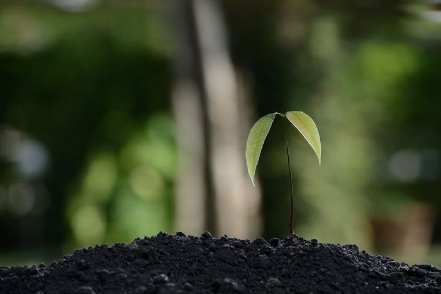 Las empresas españolas se preparan ante el reto de la nueva normativa sobre huella de carbono - 1, Foto 1