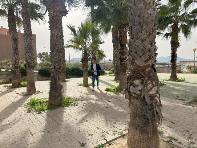 Giménez Gallo exige acabar con la marginación sistemática del gobierno de Arroyo a Los Barreros - 4, Foto 4