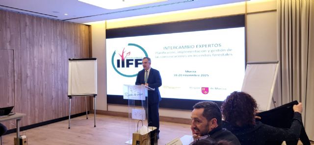 La Región de Murcia mejora la eficacia en la extinción pese a triplicar el número de incendios forestales en 2025 en temporada alta - 2, Foto 2