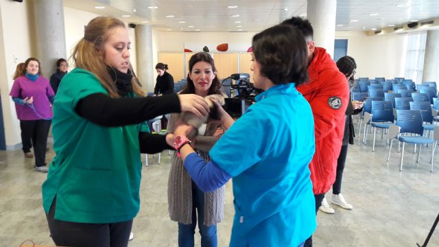 700 animales domésticos serán chipados gratuitamente - 1, Foto 1