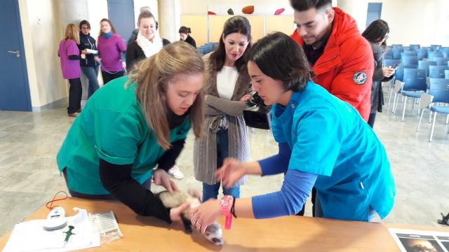 700 animales domésticos serán chipados gratuitamente - 2, Foto 2