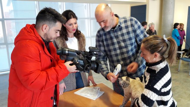 700 animales domésticos serán chipados gratuitamente - 4, Foto 4