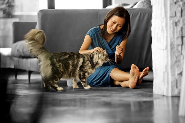 Decálogo de consejos para cuidar de las mascotas durante las Navidades, según Purina - 1, Foto 1