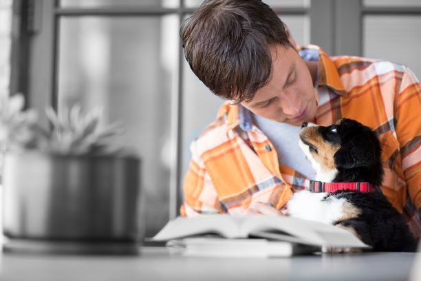 Decálogo de consejos para cuidar de las mascotas durante las Navidades, según Purina - 2, Foto 2